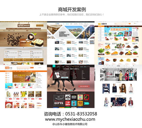 德州商城網(wǎng)站設(shè)計(jì)開(kāi)發(fā) seo策劃案